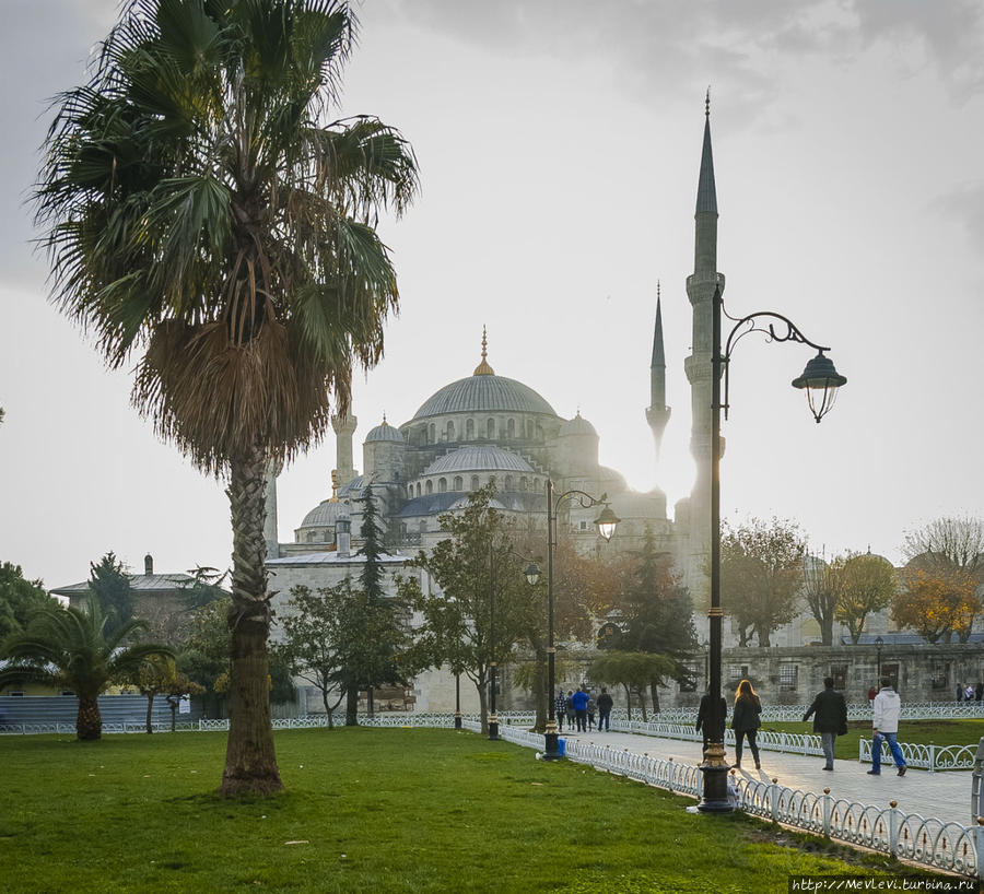 В Голубой Мечети Стамбул, Турция
