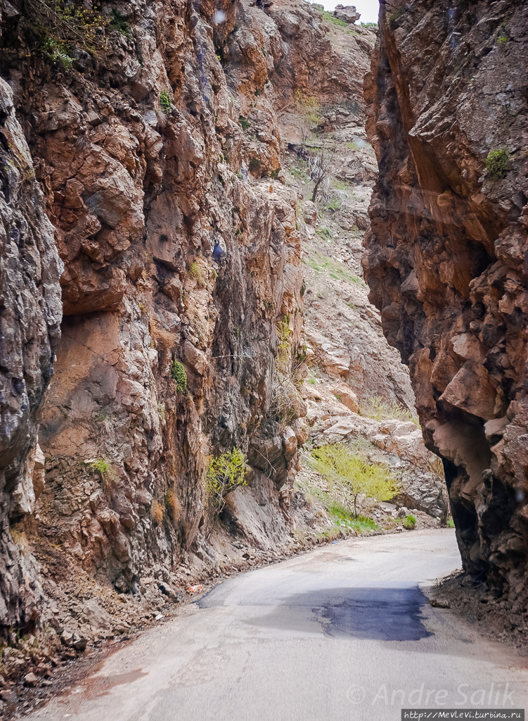 В Тегеране — проездом Тегеран, Иран