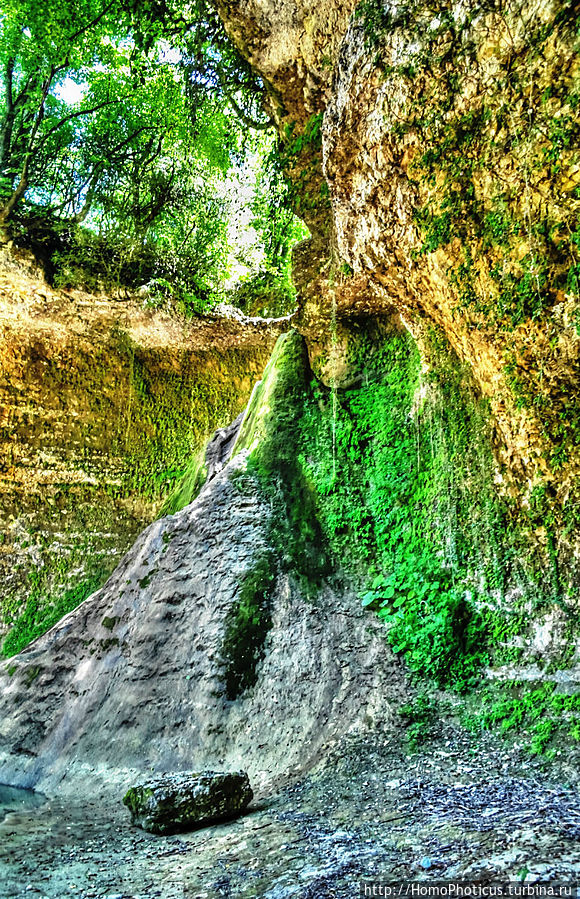 Волчьи ворота Цебельда, Абхазия