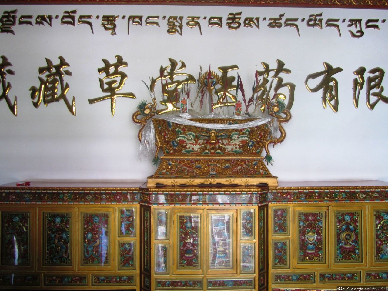 Центр Тибетской медицинs Лхаса, Китай
