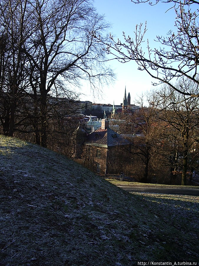 вид с дороги-2