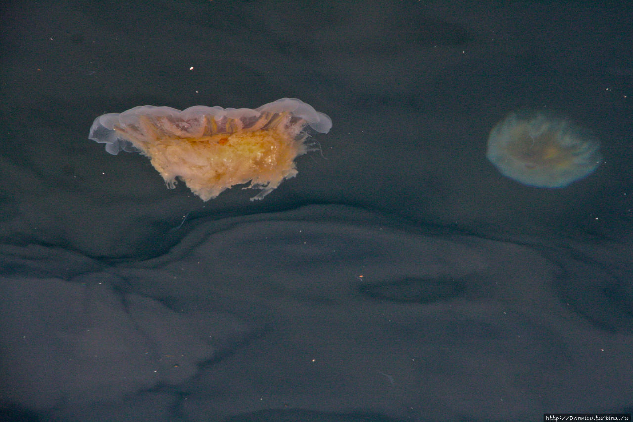 Водяное Солнце Ставангер, Норвегия