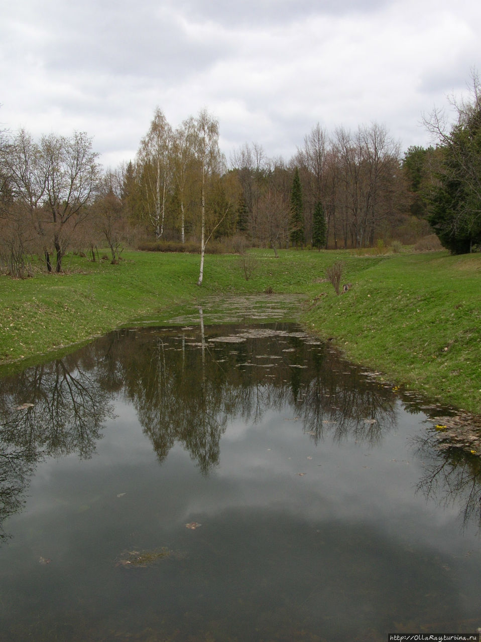 Ботанический сад Петрозаводского ГУ / The Botanic garden of Petrozavodsk SU