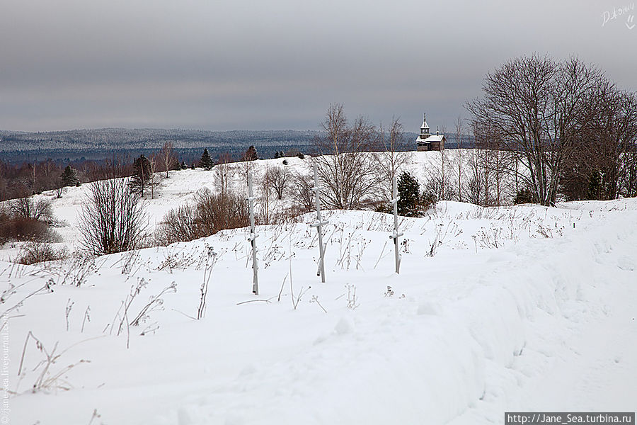 Часовня Спаса Нерукотворного из деревни Вигово