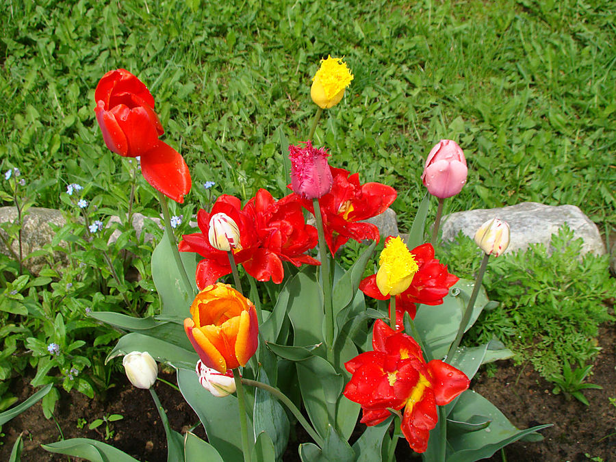 Девочки! Весна! Москва, Россия