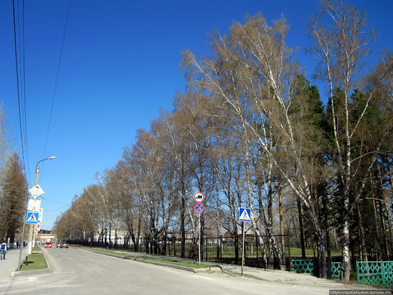 На ул.Суворова за березами справа виднеется стадион Цементник. Яшкино, Россия