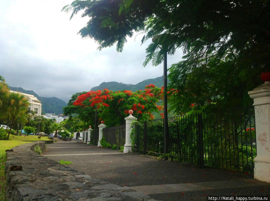 Ущелье ля Ривьера Сен-Дени, Реюньон