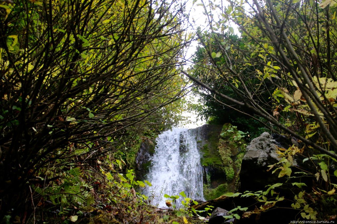 Водопады Озера Рица Рица Реликтовый Национальный Парк, Абхазия