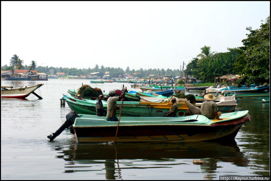 Негомбо.... Негомбо, Шри-Ланка