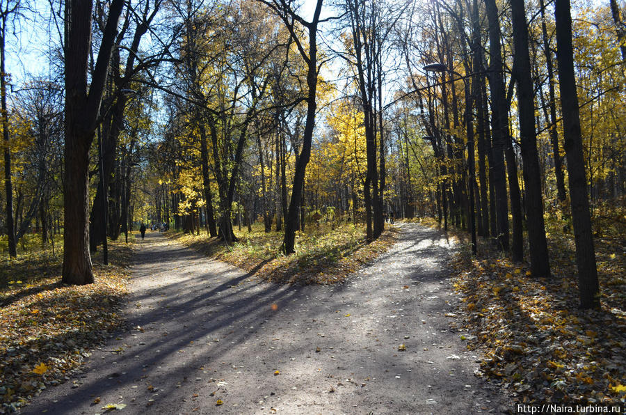 Осенний роман Москва, Россия