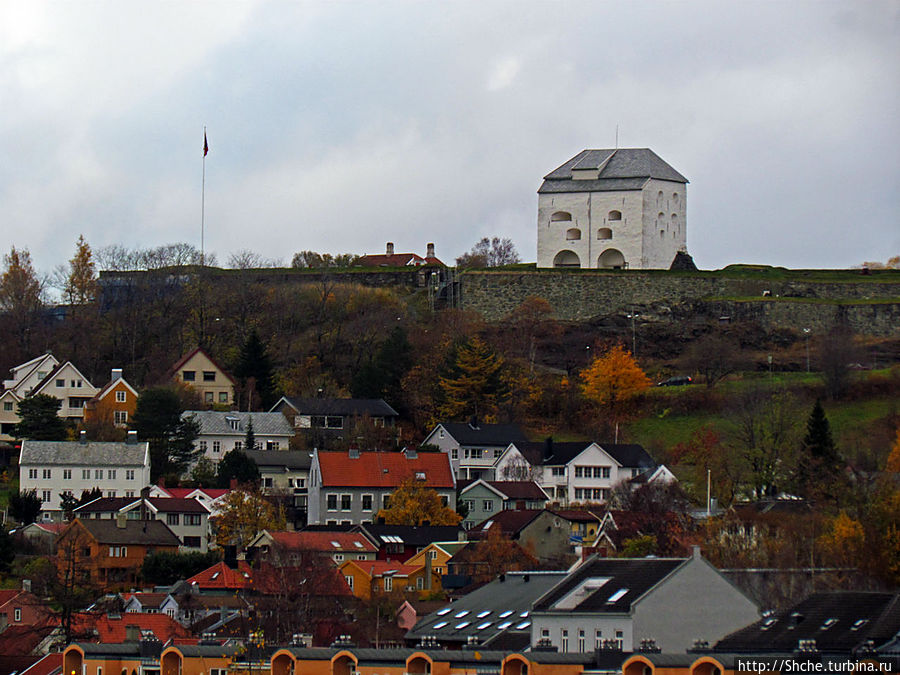 на горе Руссенборг