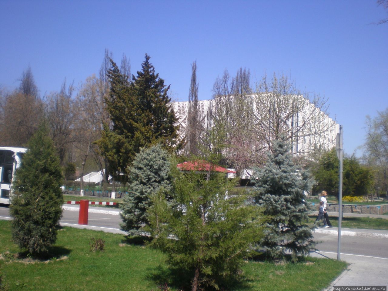 Хвойники. Ташкент, Узбекистан