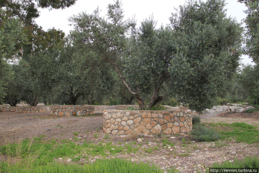 Латрун: Монастырь траппистов — вина и тишина Латрун, Израиль