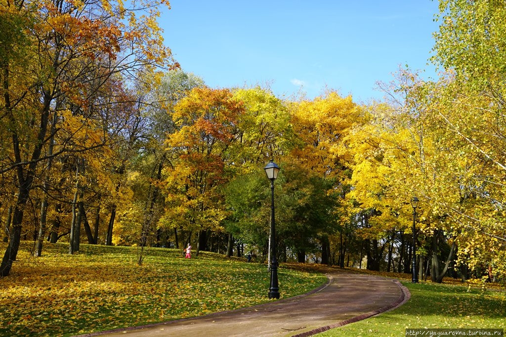 Несколько часов в парке Царицыно. Москва (город - регион), Россия