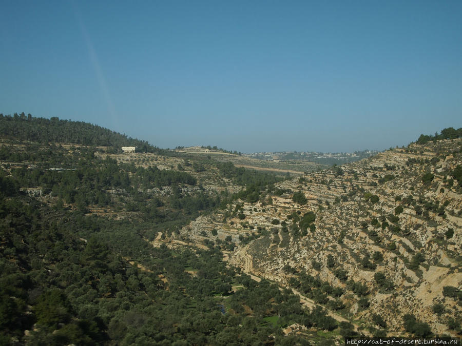 Холмы по дороге в Вифлеем. Вифлеем, Палестина