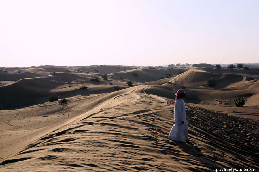 Сафари в пустыне — адреналин для желающих ОАЭ