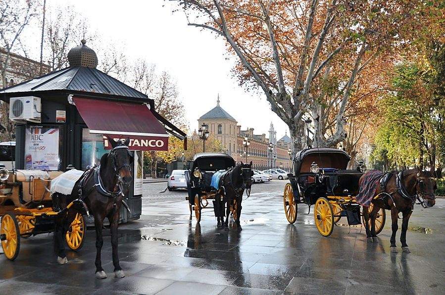 Стоянка конных такси на проспекте Рима Севилья, Испания