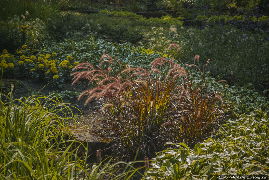 Чем дышит город Рига, Латвия