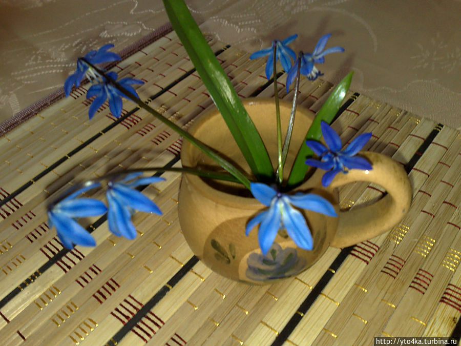 Пролетье — Время начала лета Россия