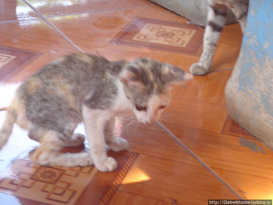 Город Паксе Паксе, Лаос