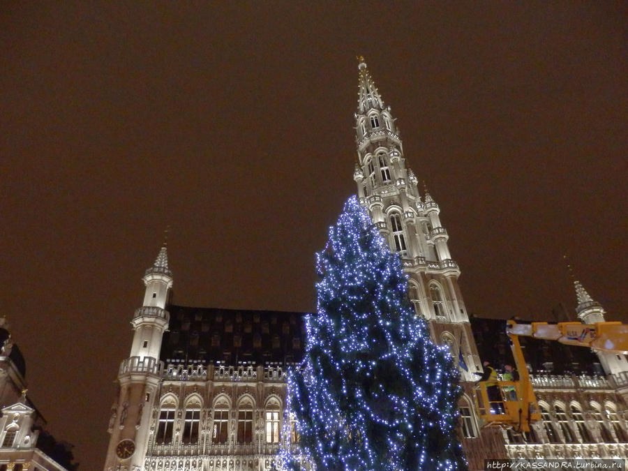Рождественская елка на площади Гран-Пляс Брюссель, Бельгия