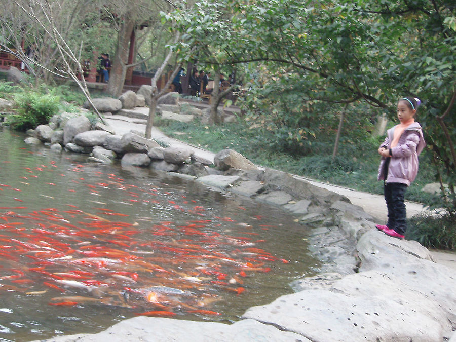 Колосс в Лешане Лешан, Китай