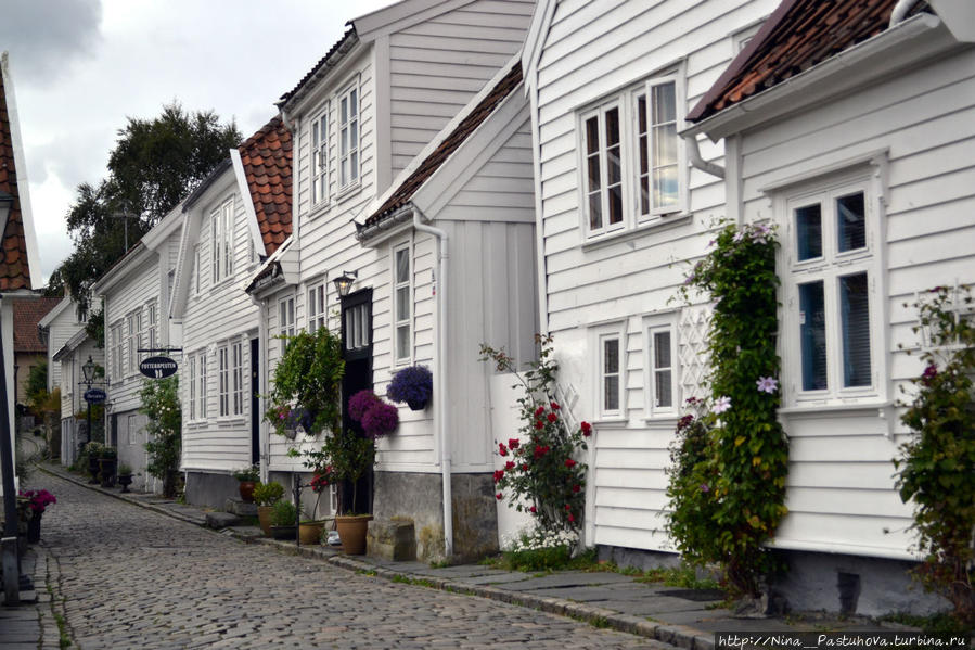 Ставангер. Район белых домов и моря цветов Ставангер, Норвегия