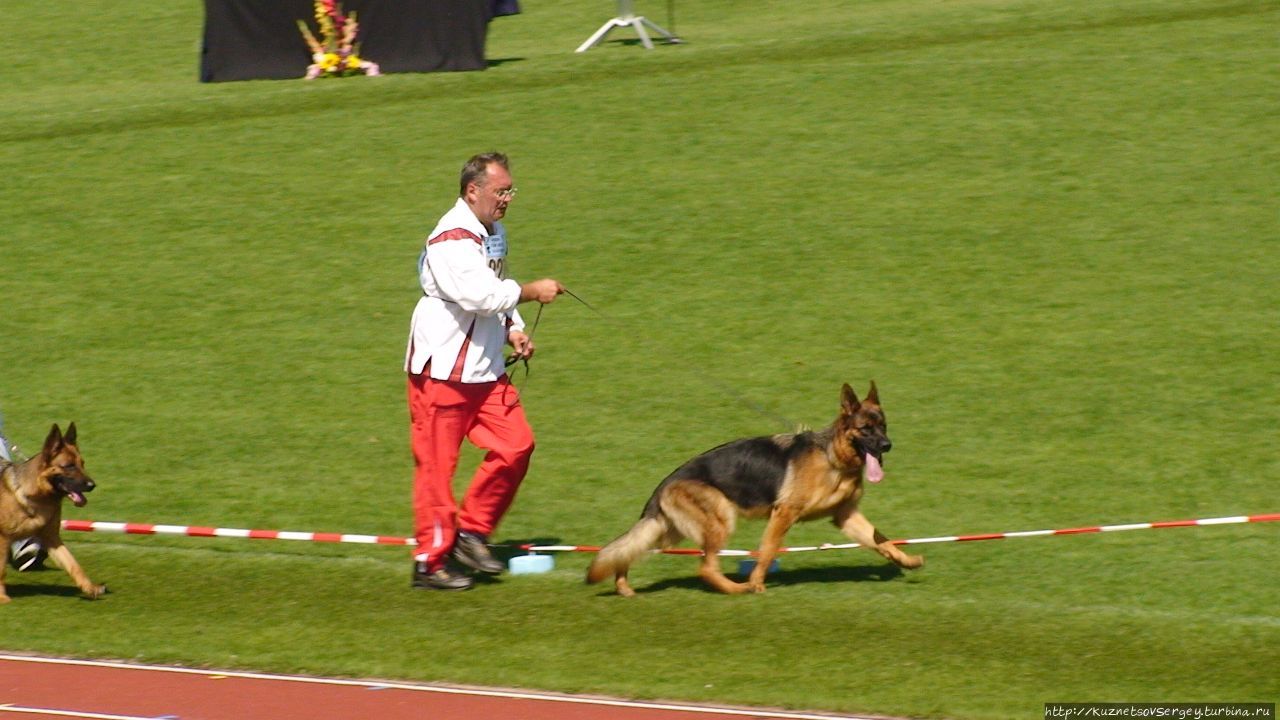 Зигер в Ульме Ульм, Германия Зигер в Ульме Ульм, Германия