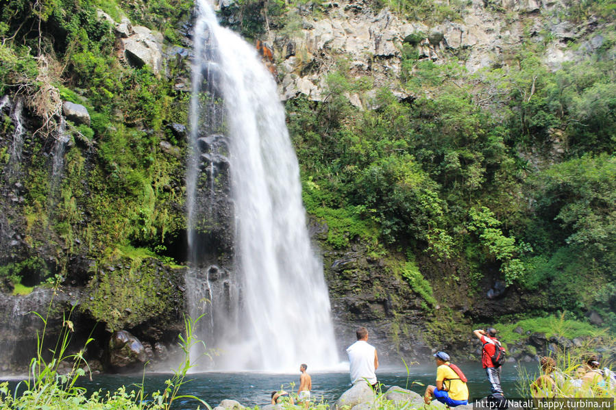 Логово без чудовищ Реюньон