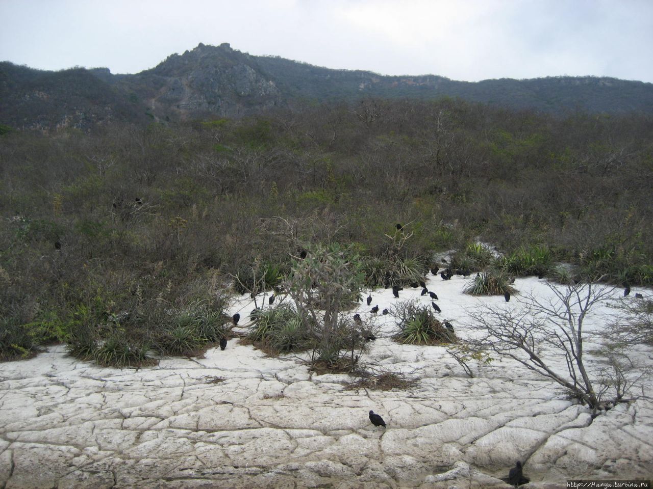 Каньон дель Сумидеро Чьяпа-де-Корсо, Мексика