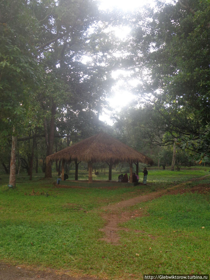 Осмотр ботанического сада: завершение Пьин-У-Львин, Мьянма