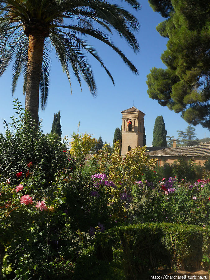 Растительность садов Хенералифе Гранада, Испания