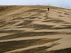 Я поднимаюсь следом, а ветер сдувает песок с вершины дюны прямо на нас.