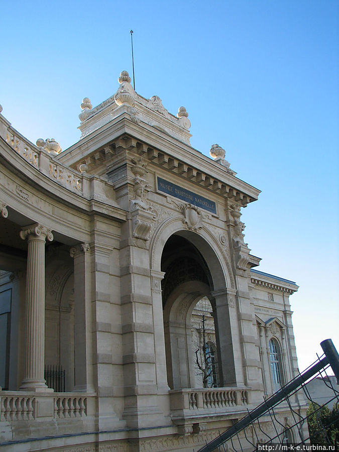 Крыло музея естественной истории Марсель, Франция