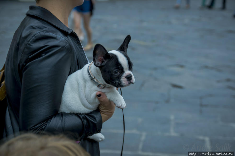 Флоренция. Площадь Республики Флоренция, Италия