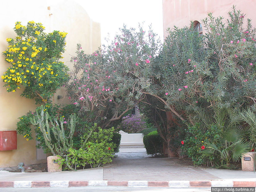 Боковой вход в Султан Бей Эль-Гуна, Египет
