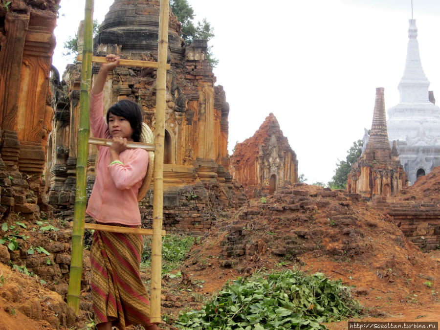 Ее жизнь и работа Мьянма