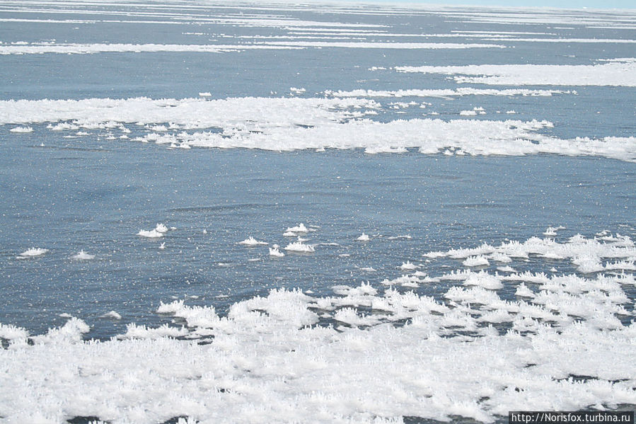 По Балтийскому катку. День второй Юрмала, Латвия