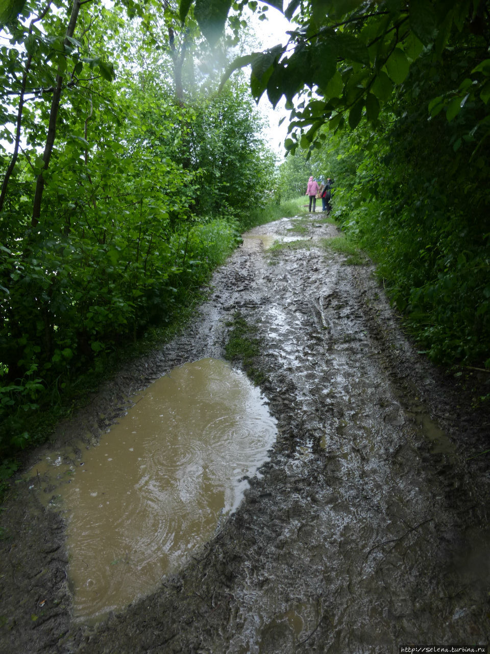 дорога к Тосненскому водопаду Ульяновка, Россия