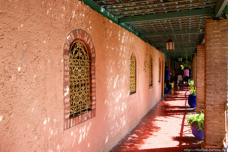 Jardin Majorelle  Marrakech Марокко