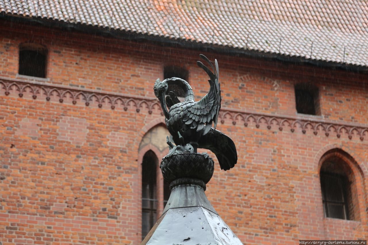 Столица  тевтонских  рыцарей Мальборк, Польша