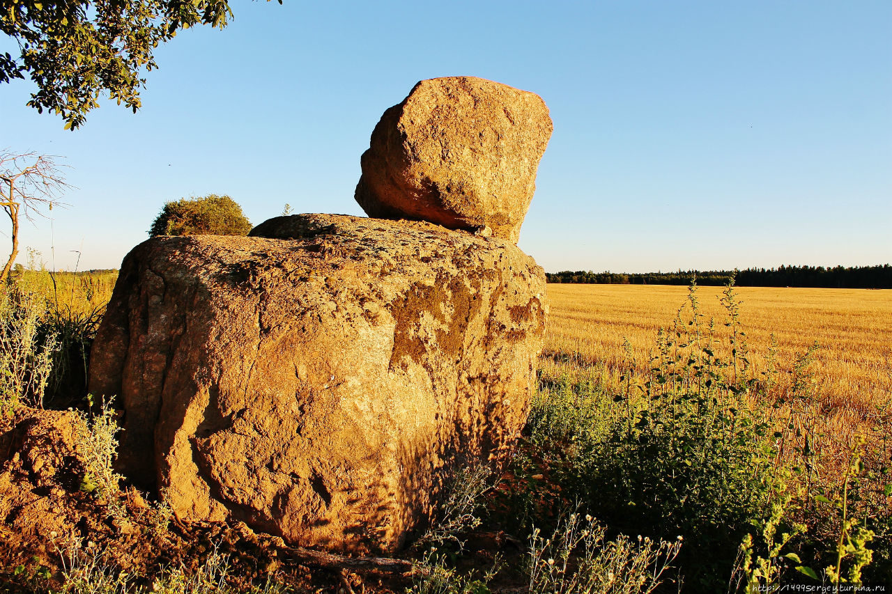 Воспоминания #3 Санкт-Петербург и Ленинградская область, Россия