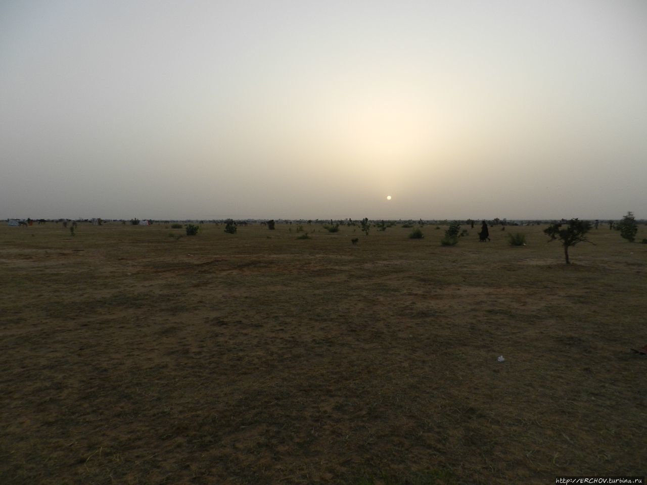 Нигер. Ч — 14. Пустыня и её обитатели Департамент Агадес, Нигер