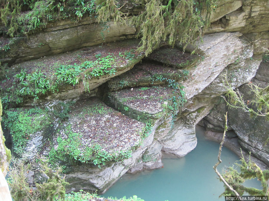 Каньон реки Псахо: вода, реликтовая зелень и древние скалы
