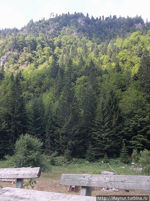 Спуск в каньон Сущице.