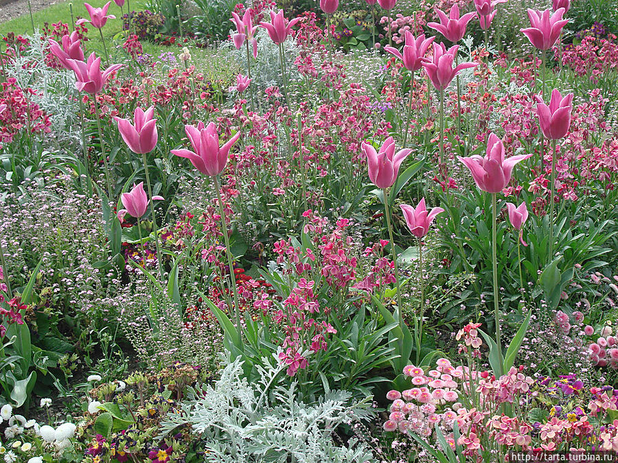 Как же здесь красиво! Но маршрут дня не окончен, и надо двигаться вперед.
