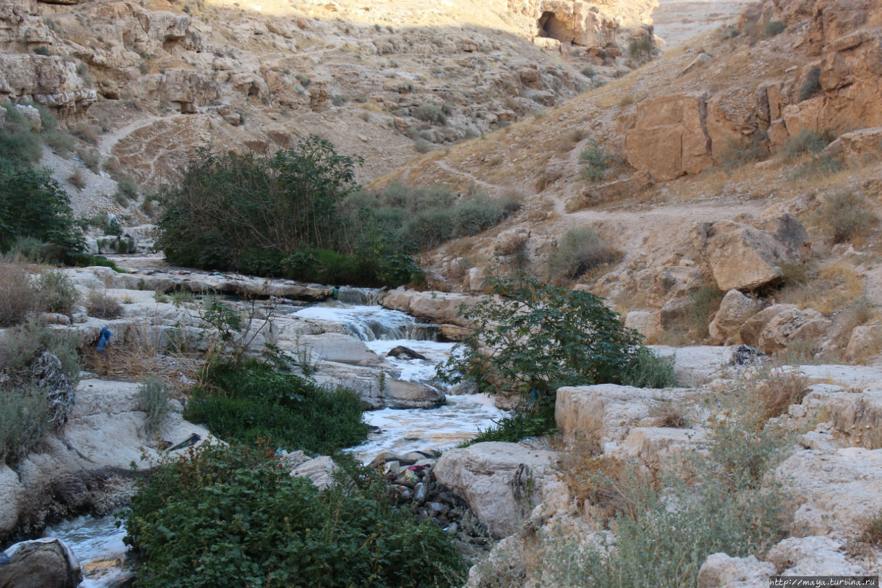 Река Кедрон Лавра Саввы Освященного, Палестина
