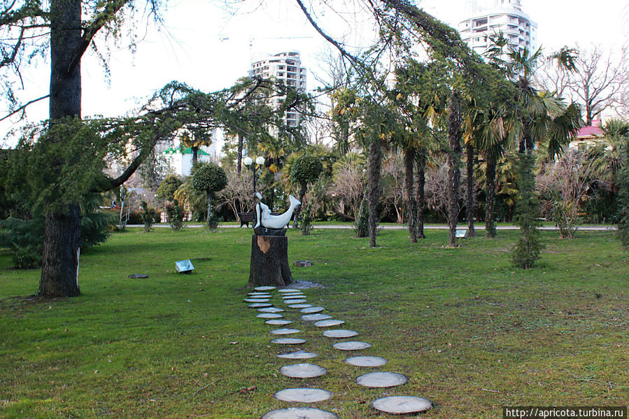 центр города, территория возле Художественного музея