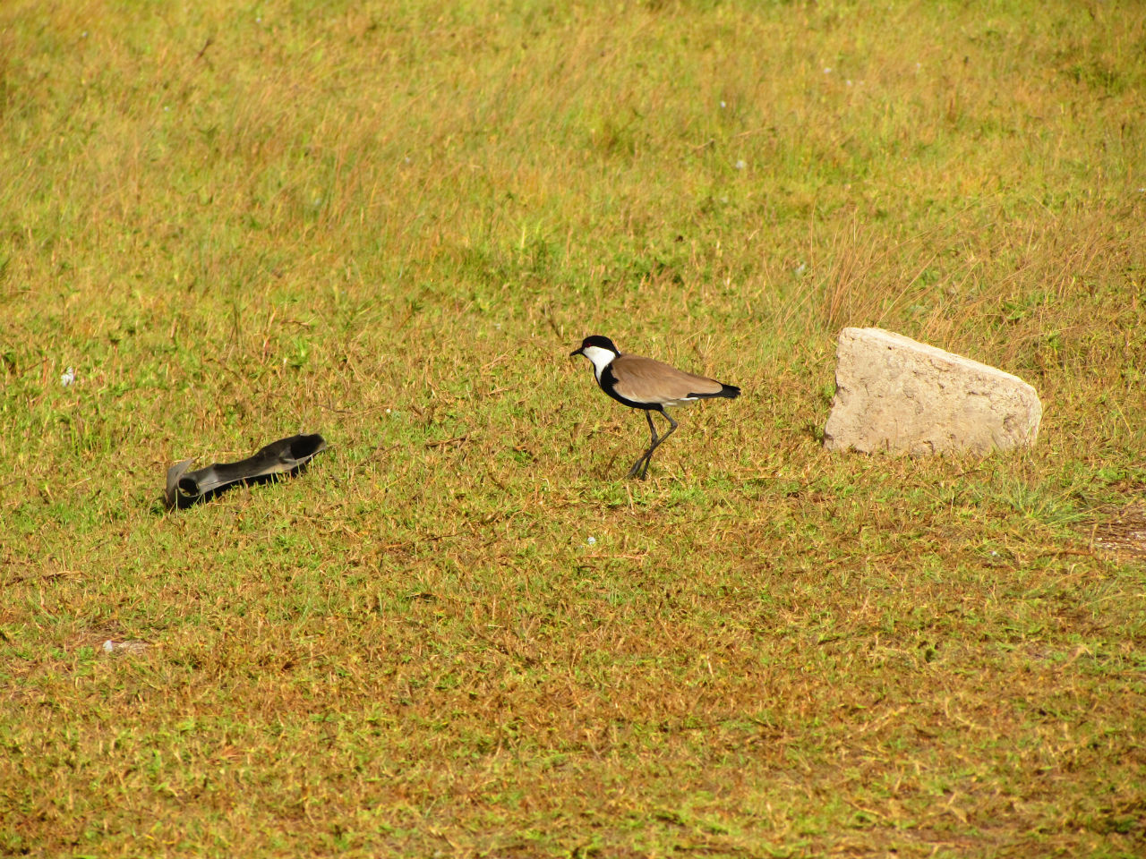 Озеро Ретба. Розовое на белом Сенегал