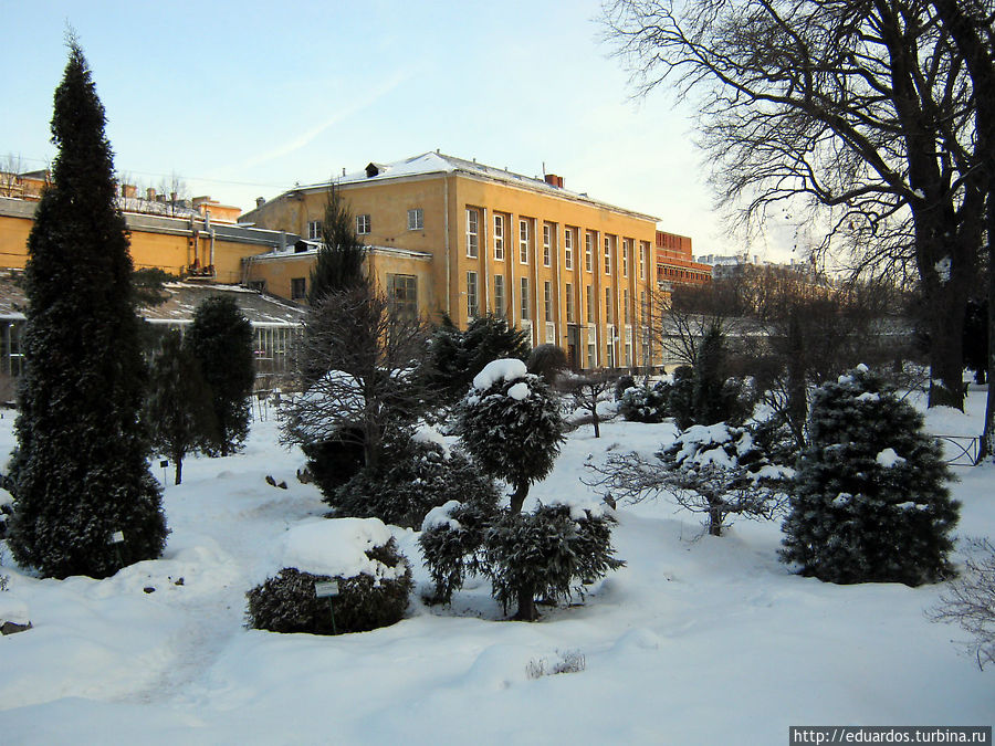 Ботанический сад Санкт-Петербург, Россия